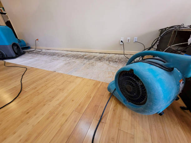 Professional Ceiling Water Damage Repair technician working in Centre, AL